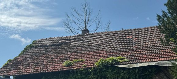 Дом с 4 комнатами в Фульда, Германия № 163748 14