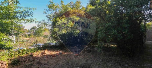 Casa de 9 dormitorios en Sintra, Portugal No. 182448 16