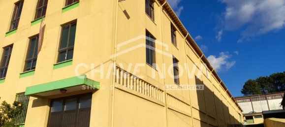  مستودع في Sao Joao da Madeira, Portugal 3200متر مربع رقم 63431 17