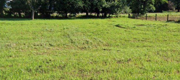 4 rooms House in Ollersdorf im Burgenland, Austria No. 246688 2