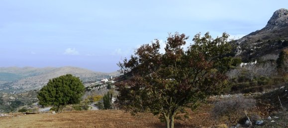 Hotel em Hersonissos, Greece 16903 m² N.º 4424 2