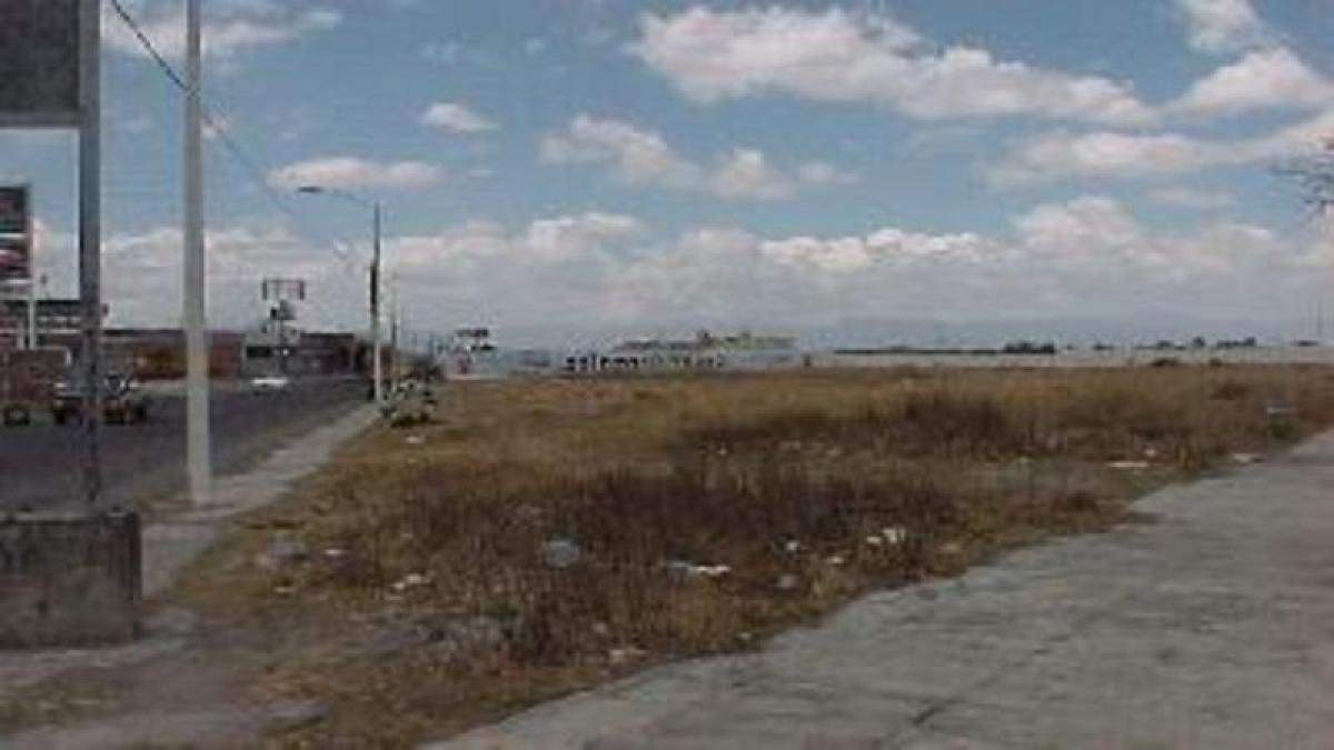  Land in Mexico No. 205589