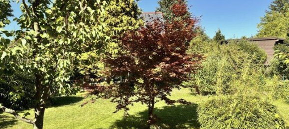 3 rooms House in Klosterneuburg, Austria No. 206693 10