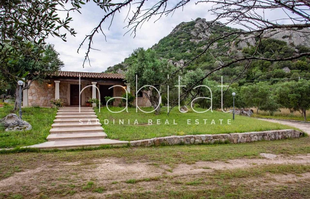 16 rooms Villa in Olbia, Italy No. 34150