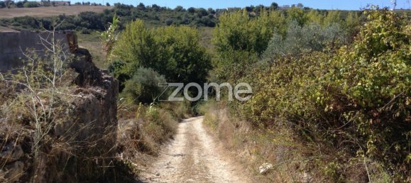 5 bedrooms House in Rio Maior, Portugal No. 150838 5