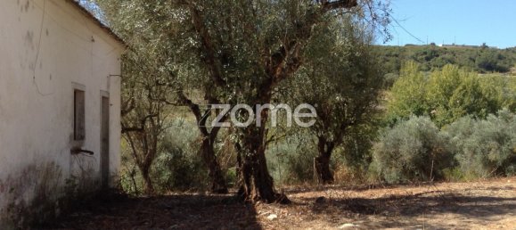 5 bedrooms House in Rio Maior, Portugal No. 150838 16