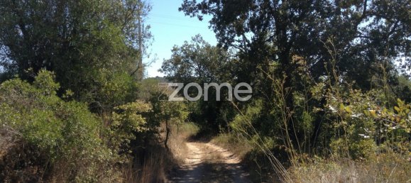 5 bedrooms House in Rio Maior, Portugal No. 150838 4