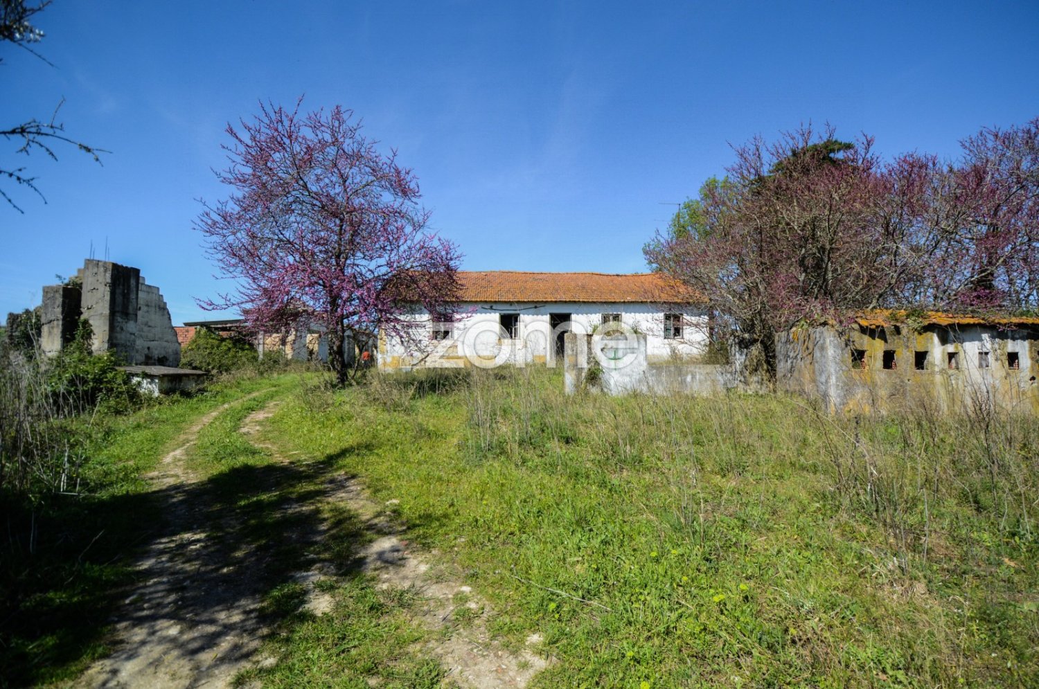 5 bedrooms House in Rio Maior, Portugal No. 150838