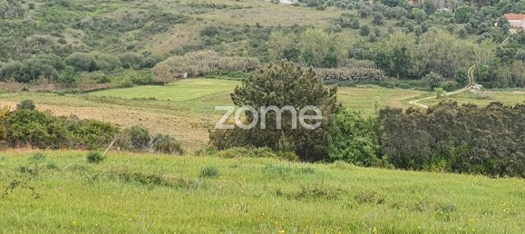 5 bedrooms House in Rio Maior, Portugal No. 150838 27