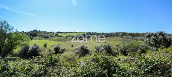 5 bedrooms House in Rio Maior, Portugal No. 150838 26