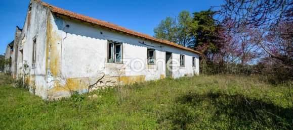 5 bedrooms House in Rio Maior, Portugal No. 150838 11