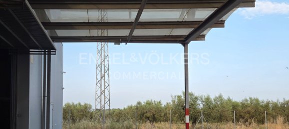 Склад 612м² в Барселона, Испания № 141212 15