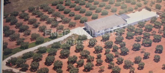 Склад 612м² в Барселона, Испания № 141212 2