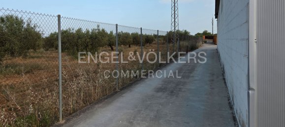 Склад 612м² в Барселона, Испания № 141212 9