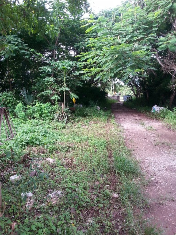  قطعة أرض في Merida, Mexico رقم 125394