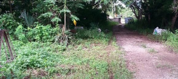  قطعة أرض في Merida, Mexico رقم 125394 2