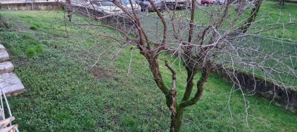 4 bedrooms Villa in Bolzano Vicentino, Italy No. 114137 11