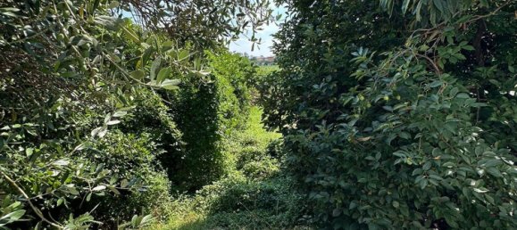 Casa de 5 habitaciónes en Verona, Italy No. 265729 7