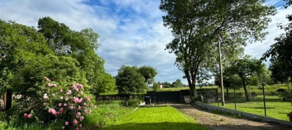 3 bedrooms Townhouse in Wittenberg, Germany No. 219059 12