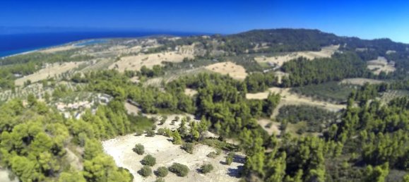 12000m² Hotel in Chalkidiki, Greece No. 5185 2