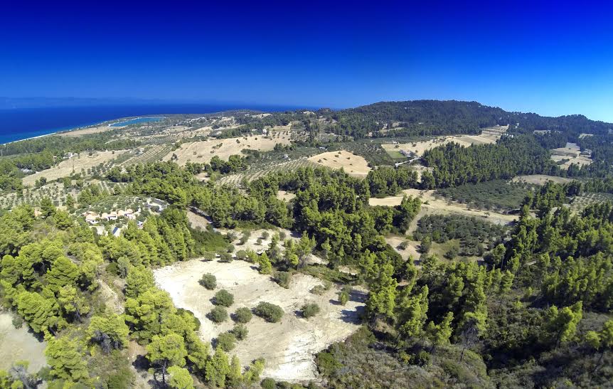  فندق في Chalkidiki, Greece 12000متر مربع رقم 5185