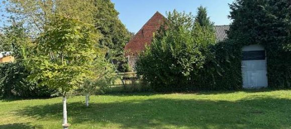 5 bedrooms House in Wittenberg, Germany No. 145782 5