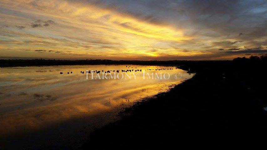 Terreno em Warhem, France N.º 83326
