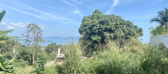 1m² Commercial property in Ko Samui, Thailand No. 6355 3