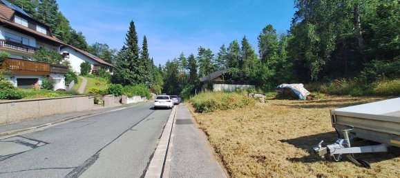 Grundstück in Nürnberger Land, Germany, Nr. 225020 3