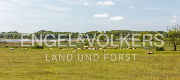  Land in Vorpommern-Rugen, Germany No. 147098 2