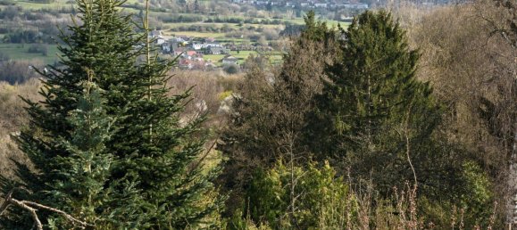 Таунхаус с 11 комнатами в Саарбрюккен, Германия № 237057 16