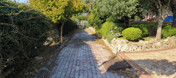 Propriedade comercial T3 em Katerini, Greece N.º 59591 13