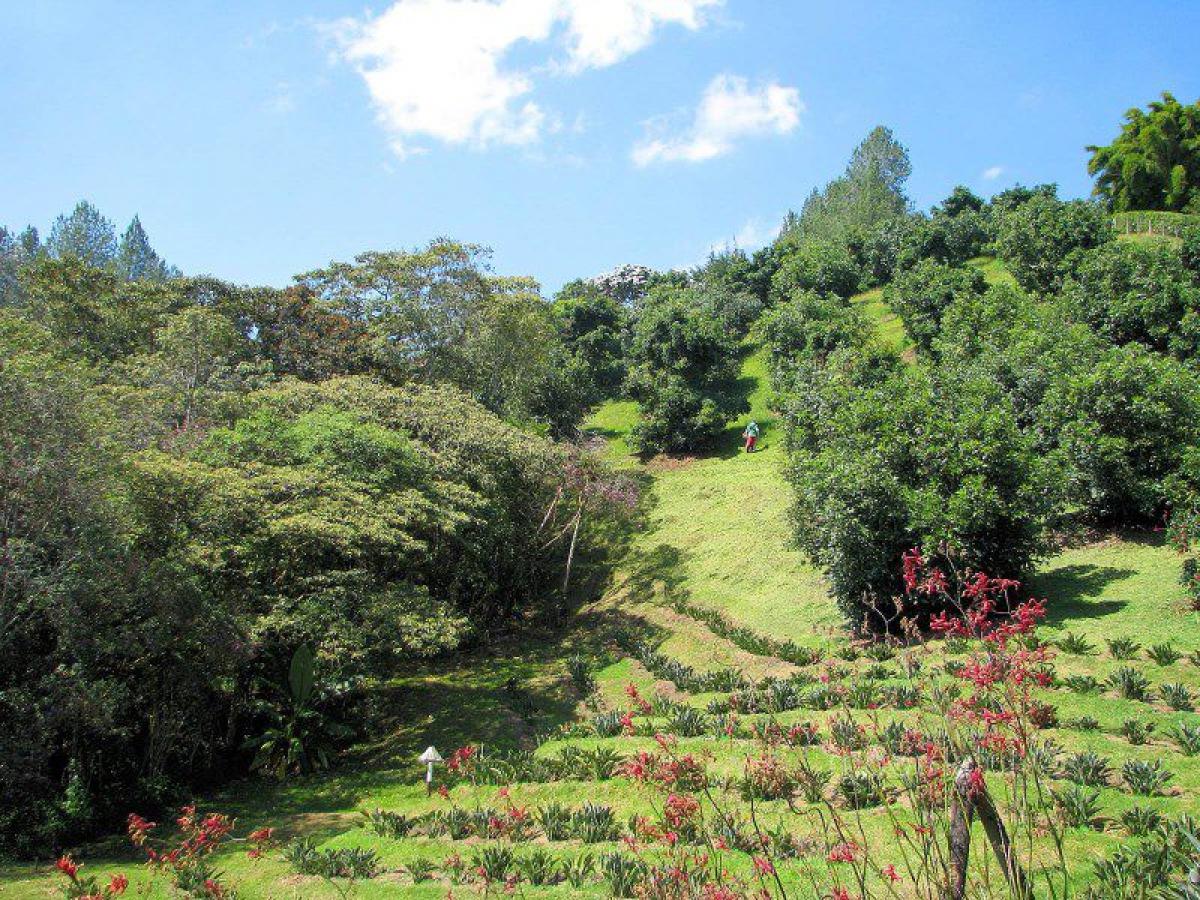  Land in Antioquia, Colombia No. 489