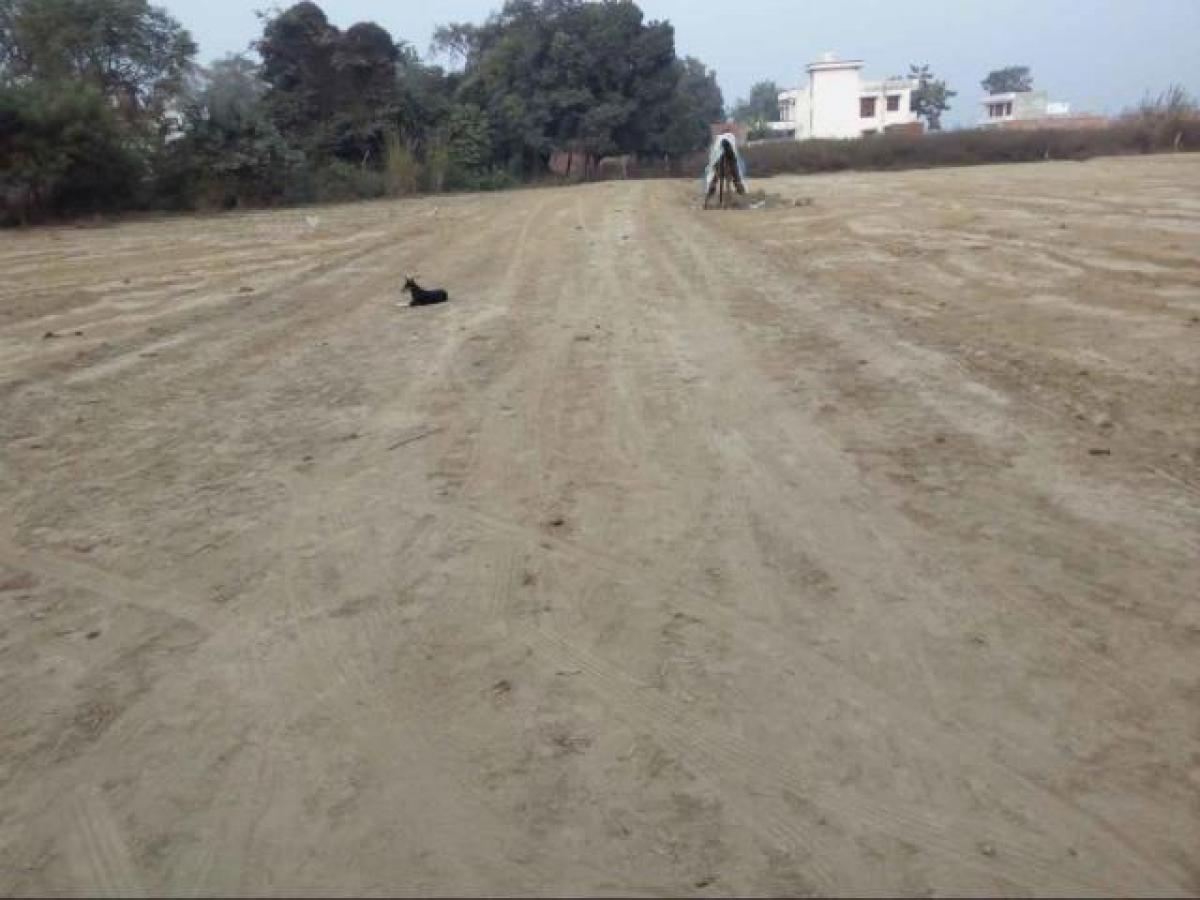  Land in Lucknow, India No. 33864