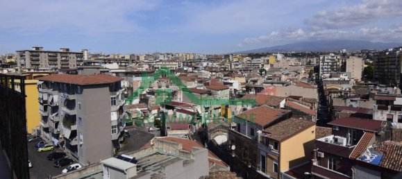 2-Zimmer Wohnung in Catania, Italy, Nr. 233059 17