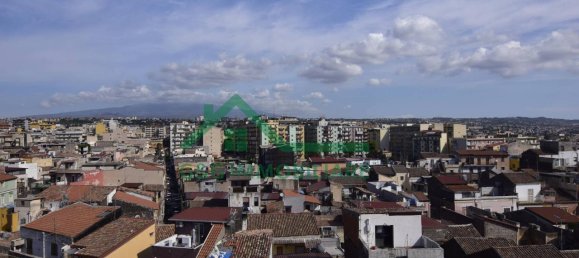 2-Zimmer Wohnung in Catania, Italy, Nr. 233059 18