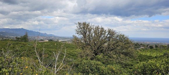 1022m² Land in Mascali, Italy No. 146873 7