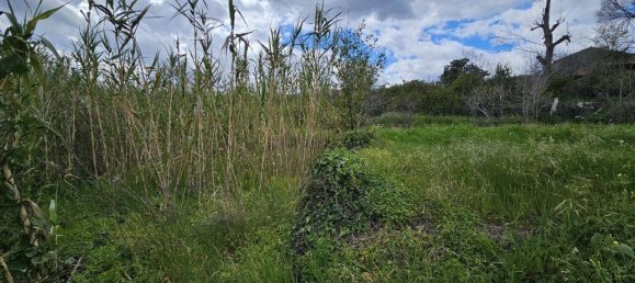 1022m² Land in Mascali, Italy No. 146873 5