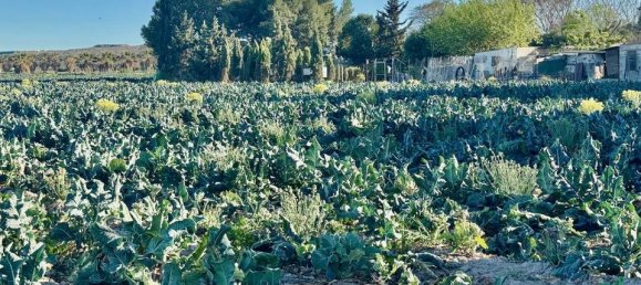 Casa T4 em Guardamar del Segura, Spain N.º 185153 38