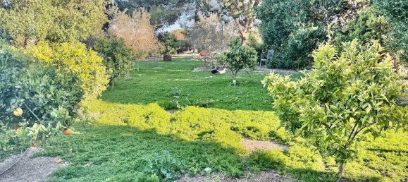 Casa T4 em Guardamar del Segura, Spain N.º 185153 35