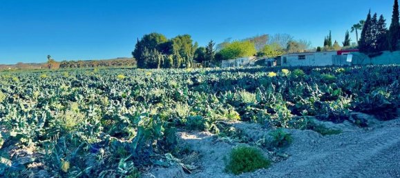 Casa T4 em Guardamar del Segura, Spain N.º 185153 37