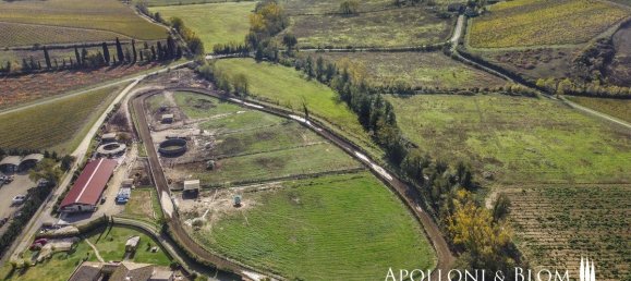 10 Schlafzimmer Haus in Castelnuovo Berardenga, Italy, Nr. 56465 32