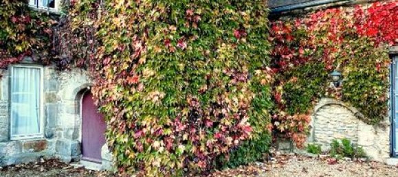 1 bedroom Duplex in Epernon, France No. 223886 8