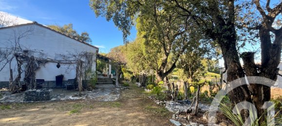 2 Schlafzimmer Haus in Oletta, France, Nr. 62212 3