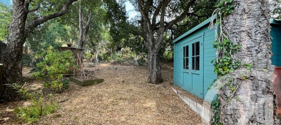 2 Schlafzimmer Haus in Oletta, France, Nr. 62212 25