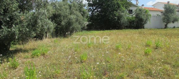 1777m² Land in Lousa, Portugal No. 58409 6
