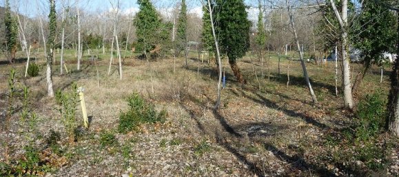 Земельный участок 262м² в Халкидики, Центральная Македония, Македония и Фракия, Греция № 5867 3