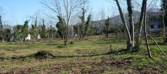 9000m² Hotel in Chalkidiki, Greece No. 5867 7