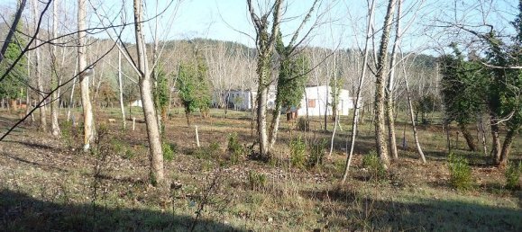 Земельный участок 262м² в Халкидики, Центральная Македония, Македония и Фракия, Греция № 5867 4