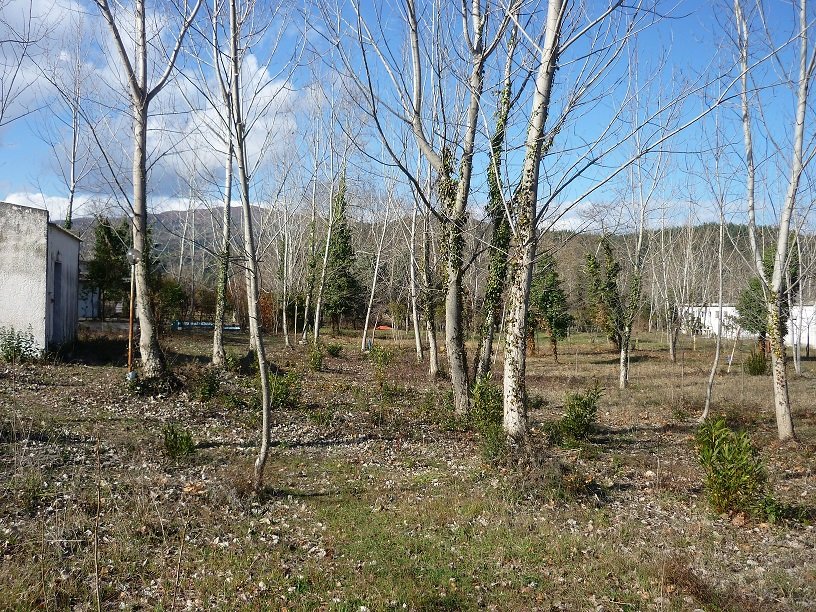 Земельный участок 262м² в Халкидики, Центральная Македония, Македония и Фракия, Греция № 5867